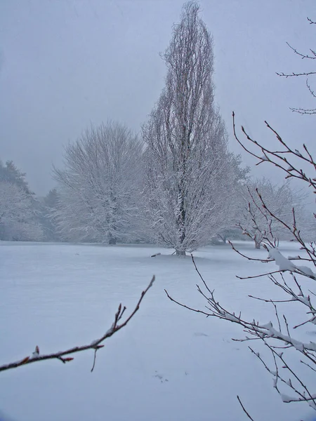 Beau Paysage Hivernal Campagne — Photo