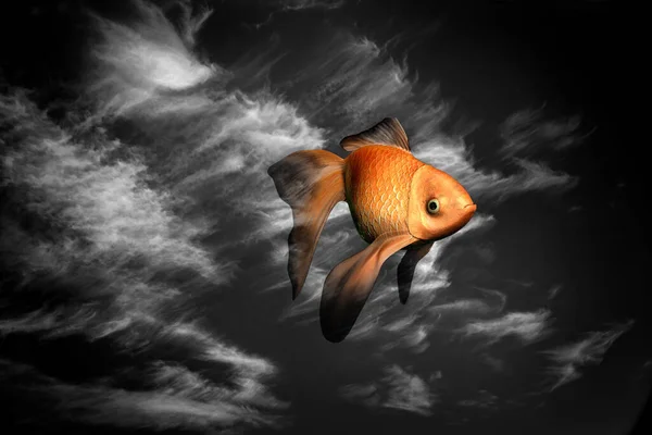 天空中的金鱼 3D渲染 — 图库照片