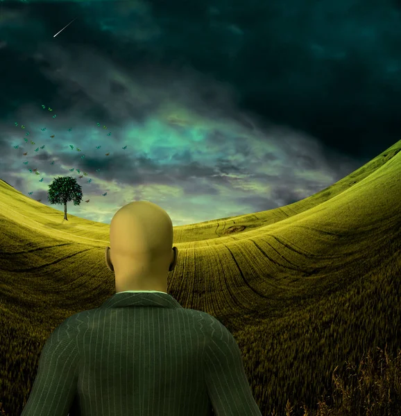 Man Surreal Landscape Butterflies Rendering — Stock Photo, Image