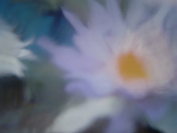 Тяжелые Размытые Цветы Рендеринг — стоковое фото