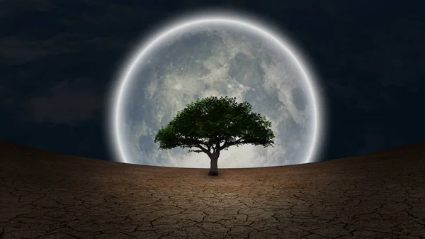 Surrealismo Árbol Verde Tierra Árida Luna Llena Cielo Nocturno — Foto de Stock