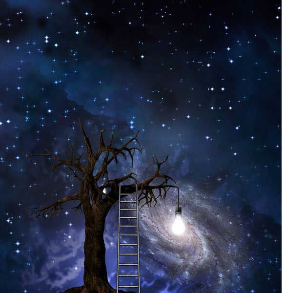 Ladder leans on tree of wisdom