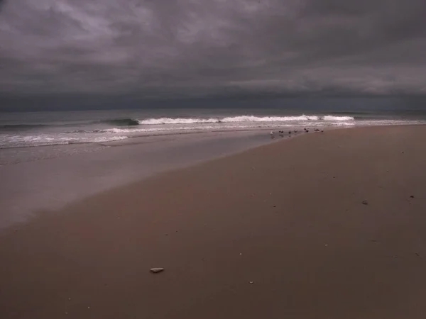 Playa Del Océano Arenoso Renderizado — Foto de Stock