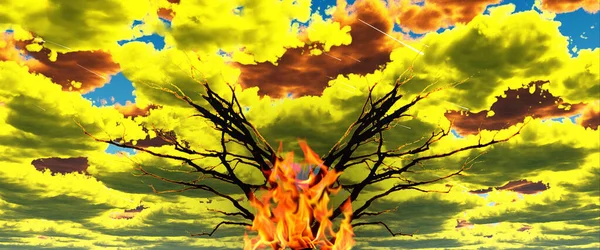 Brandende Boom Surrealistische Lucht — Stockfoto