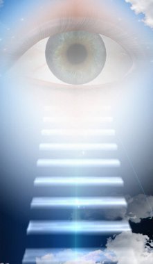 Göze çarpan adımlar. 3B görüntüleme