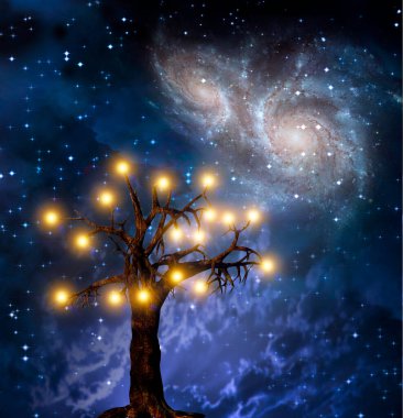 Işık ağacı. 3B görüntüleme