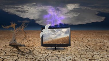 Kurak manzaralı bir televizyon ekranı. Yaşlı ağaç. 3B görüntüleme