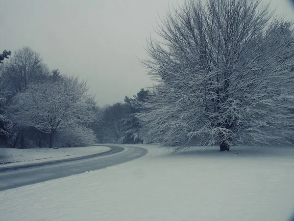 Beautiful Winter Landscape Countryside — Stockfoto