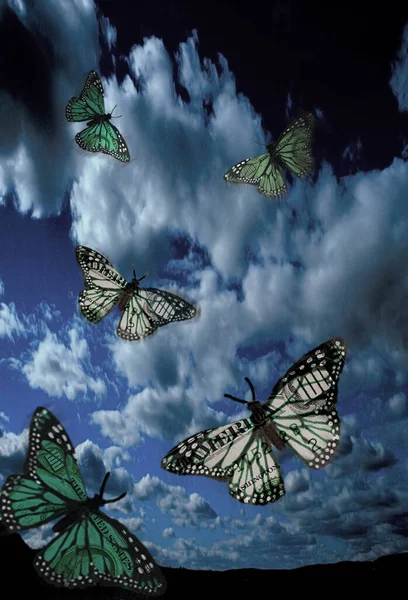 Butterflies Sky Rendering — Stock Photo, Image