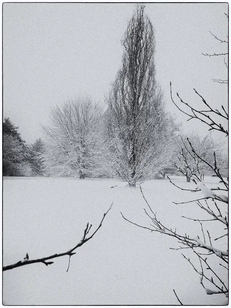 美丽的乡村冬季风景 — 图库照片
