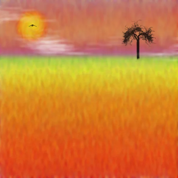 Dark Tree Sunset Rendering — Stock Photo, Image