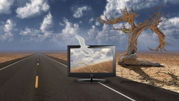 干旱景观中的电视屏幕 老树3D渲染 — 图库照片