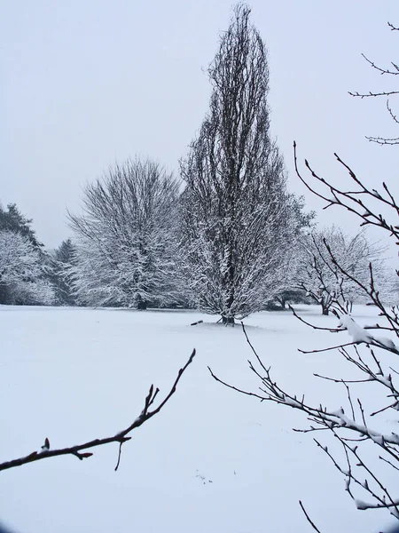 Beautiful Winter Landscape Countryside — 图库照片