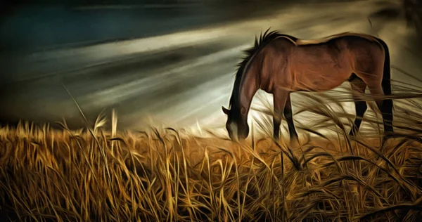 Живопись Лошадь Пасется Поле Солнечные Лучи Впечатляющие Облака — стоковое фото