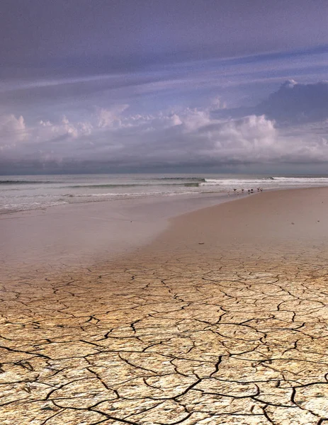 Dove Oceano Deserto Incontrano — Foto Stock