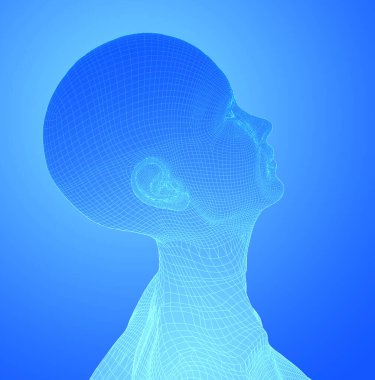 Kadın kafa örgüsü. 3B görüntüleme