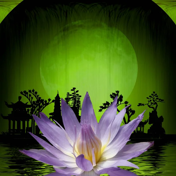 Lotus Flower Asia Night Silhouettes High Quality Illustration Rendering — Stock Photo, Image