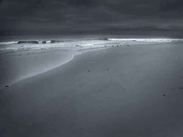 Písečné Pobřeží Oceánu Vykreslování — Stock fotografie