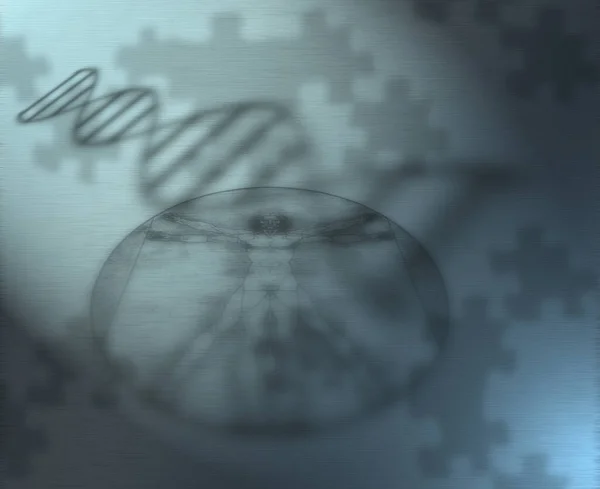 Dna Human Concept Rendering — Stock Photo, Image