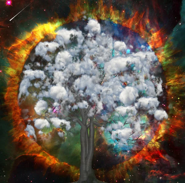 Arbre Des Nuages Cercle Feu Dans Espace Vivant Rendu — Photo