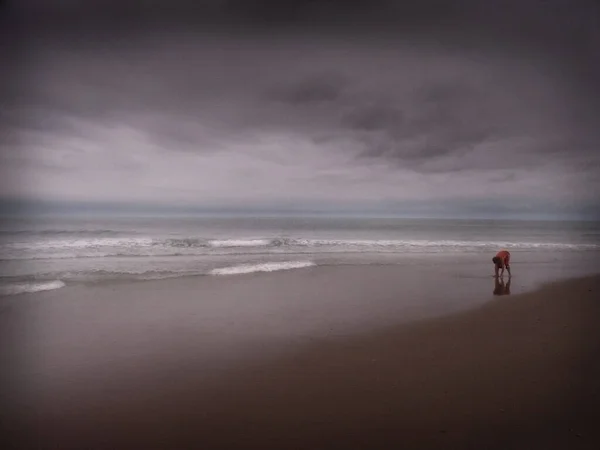 Bulutlu Bir Günde Kumlu Deniz Manzarası — Stok fotoğraf