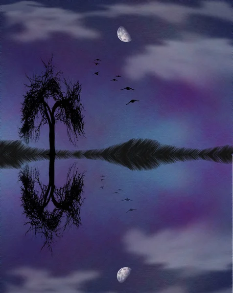 Surrealismus Und Symbolik Vögel Fliegen Als Freie Seelen Zum Mond — Stockfoto