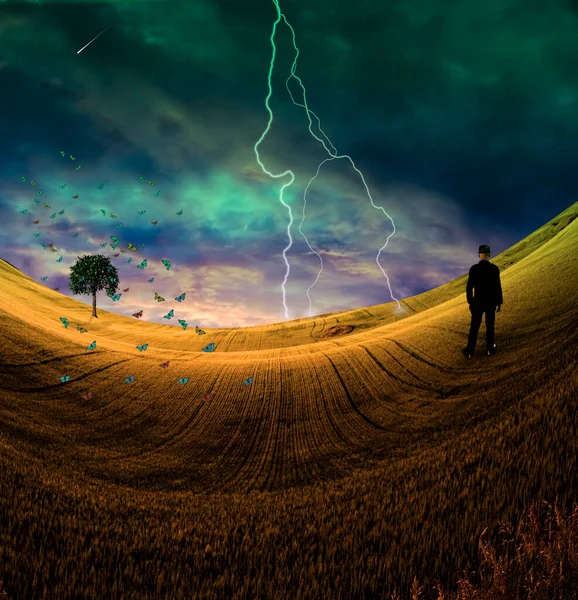 Der Mensch Surrealer Landschaft Mit Schmetterlingen Rendering — Stockfoto