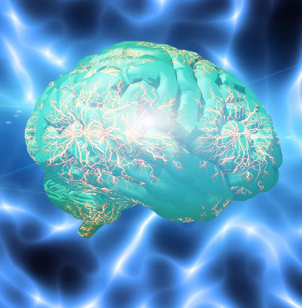 Människans Hjärnmodell Rendering — Stockfoto
