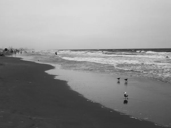 Meerblick Blick Auf Den Strand Bei Bewölktem Tag — Stockfoto