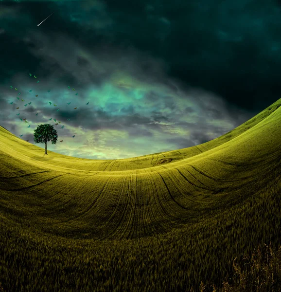 Prachtig Landschap Met Kleurrijke Lucht — Stockfoto