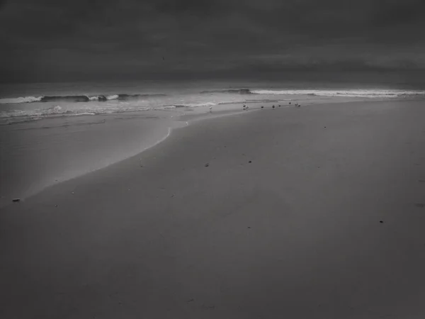 Spiaggia Sabbiosa Sull Oceano Rendering — Foto Stock
