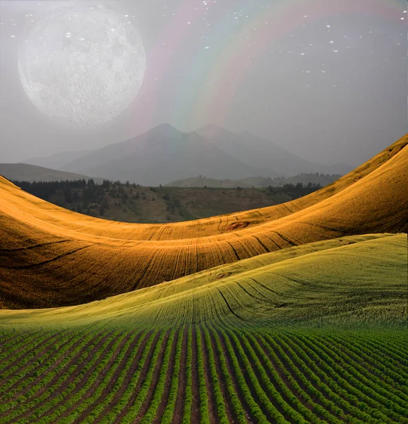 Paisaje Pacífico Con Montaña — Foto de Stock