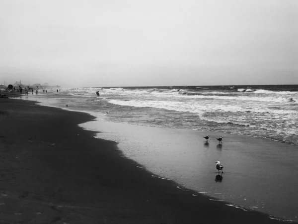 Seascape View Sea Beach Cloudy Day — 图库照片