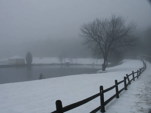 Beautiful Winter Landscape Countryside — 图库照片