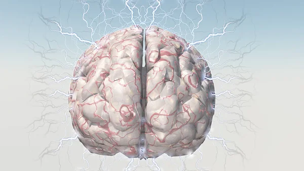 Human Brain Produce Electricity — Stock Photo, Image