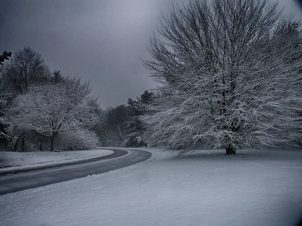 Beautiful Winter Landscape Countryside — Stockfoto