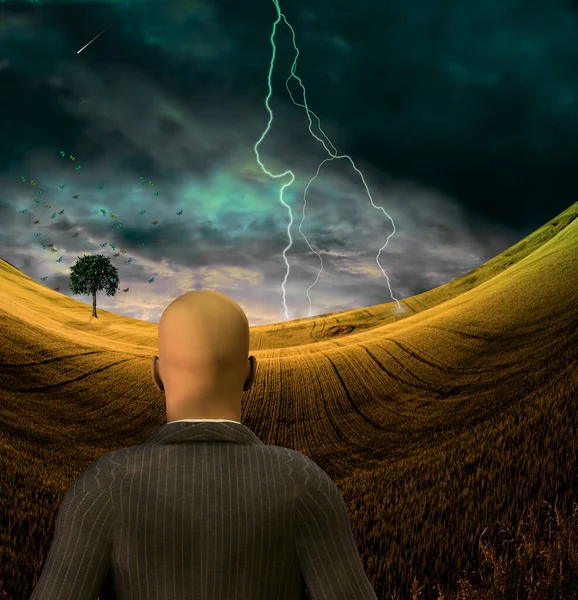 Man Surreal Landscape Butterflies Rendering — Stock Photo, Image