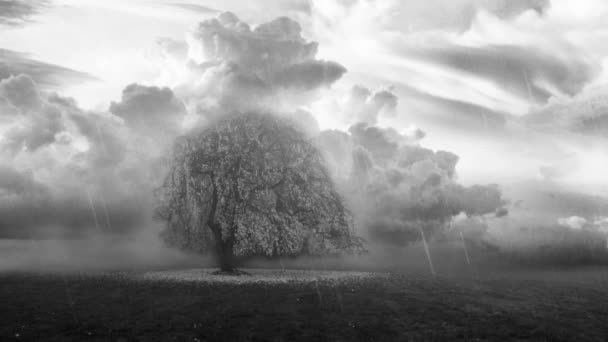 Baum Surrealer Landschaftsanimation Sepiafarben — Stockvideo
