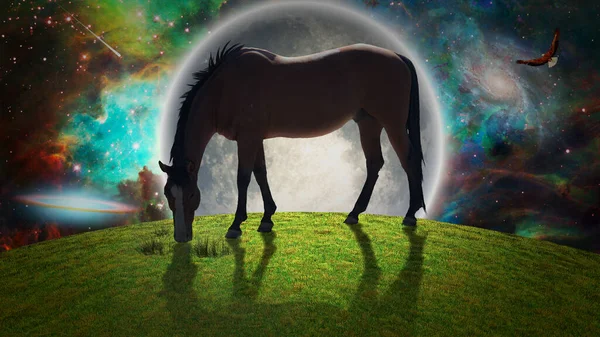 Horse Surreal Landscape — Stock Photo, Image