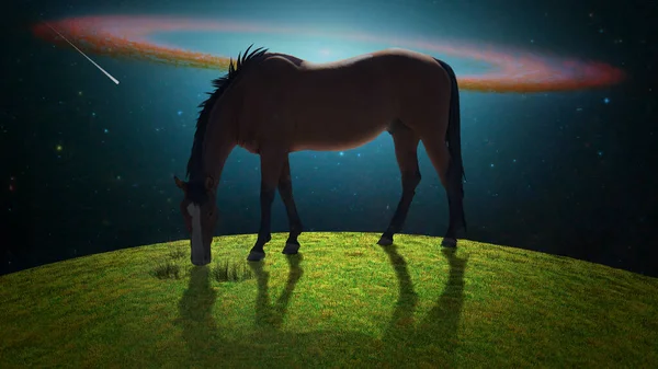 Horse Surreal Landscape — Stock Photo, Image
