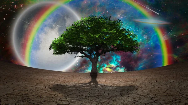 Дерево Життя Посушливій Землі — стокове фото