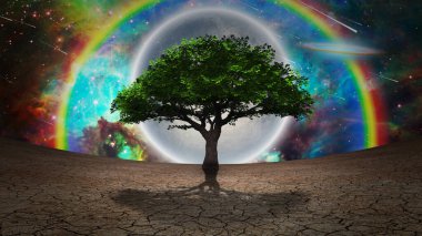 Kurak topraklarda yaşam ağacı