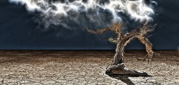 Old Desert Tree Rendering — Stock Photo, Image