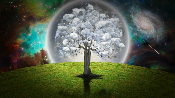 Baum Mit Wolken Rendering — Stockfoto