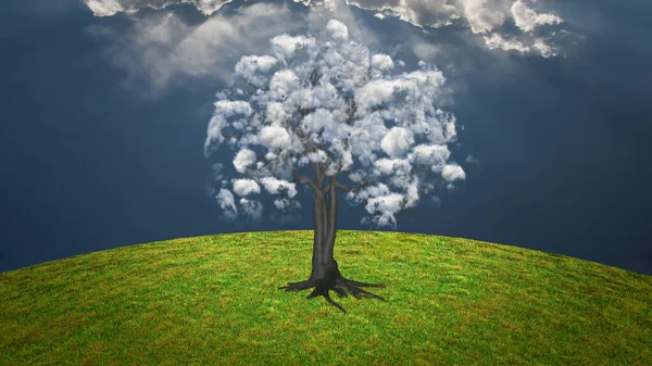 Дерево Облаками Рендеринг — стоковое фото