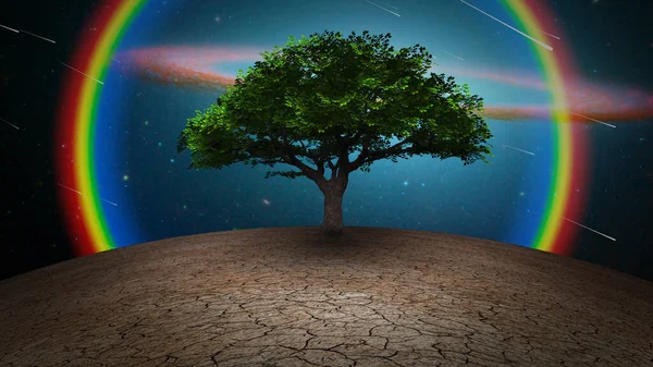 干旱土地上的生命树 — 图库照片