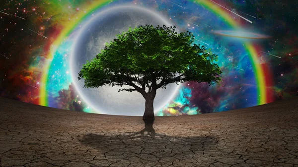 Baum Des Lebens Trockenen Land — Stockfoto
