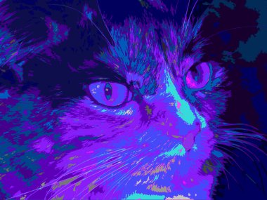 Soyut arka plandaki kedi. 3B görüntüleme