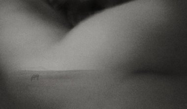 Kadın vücudu soyut. 3B görüntüleme