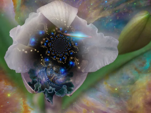Çiçek Uzayla Gerçeküstü Sahne — Stok fotoğraf